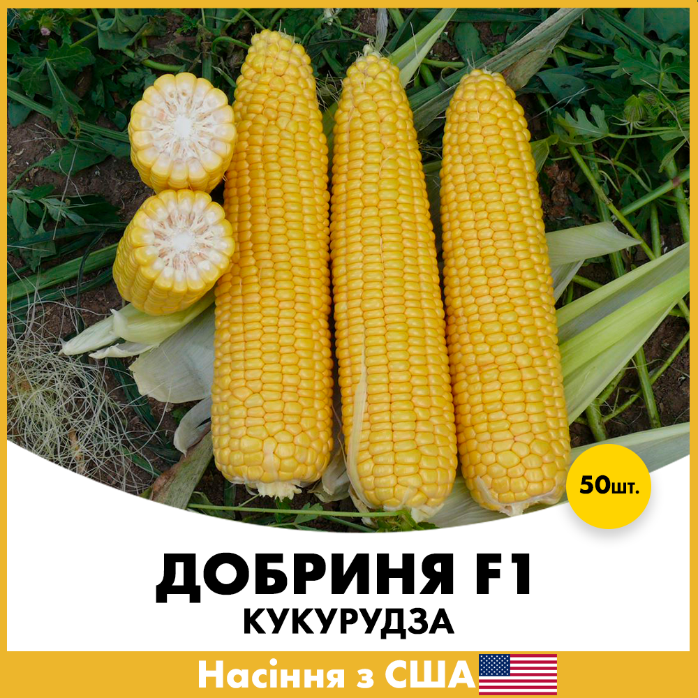 Семена кукурузы сахарная Lark Seeds Добрыня F1 50 шт. (jkl20)