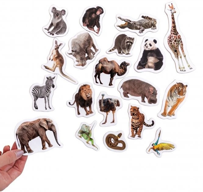 Набір магнитів Magdum Зоо Фото 19 шт. (ML4031-02) - фото 7 Набір магнитів Magdum Зоо Фото 19 шт. (ML4031-02) - фото 7