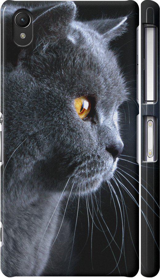 Чехол на Sony Xperia Z2 D6502/D6503 Красивый кот (3038c-43-42517)
