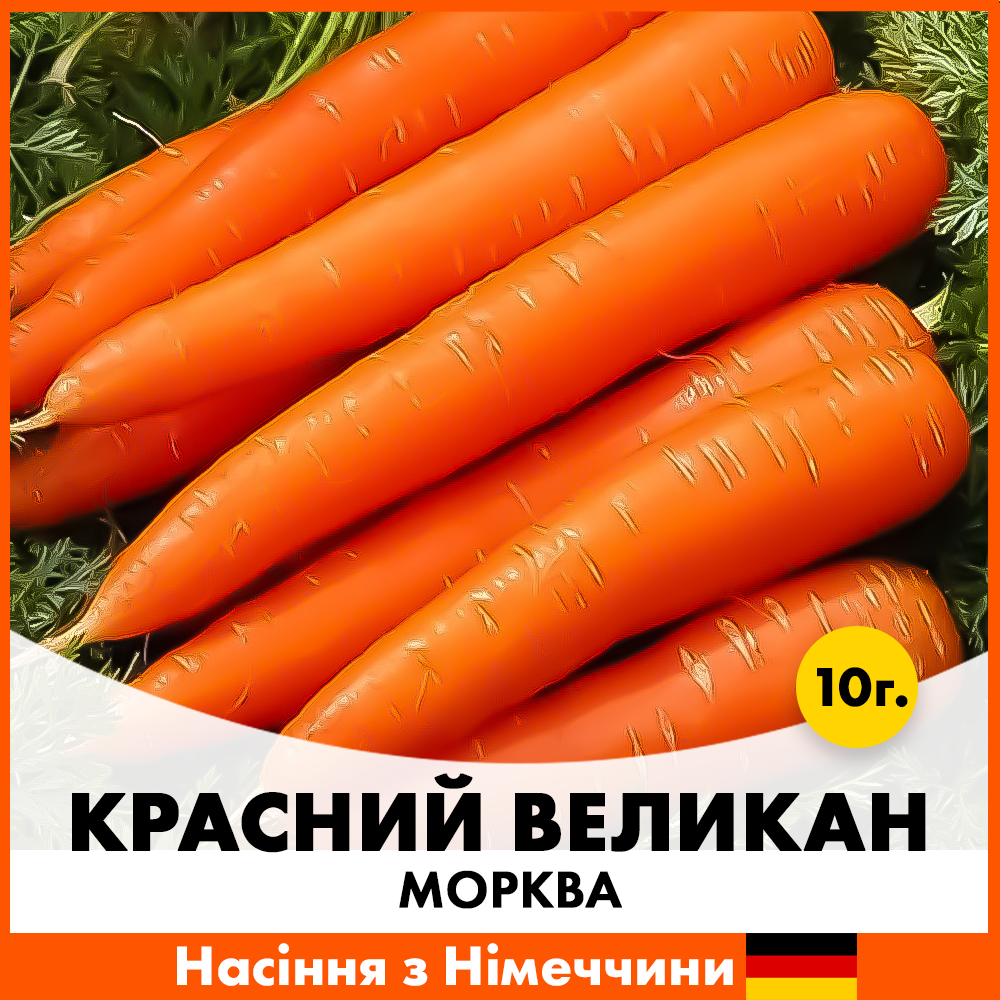 Насіння моркви Satimex Красний Велікан 10 г (xlrx10)
