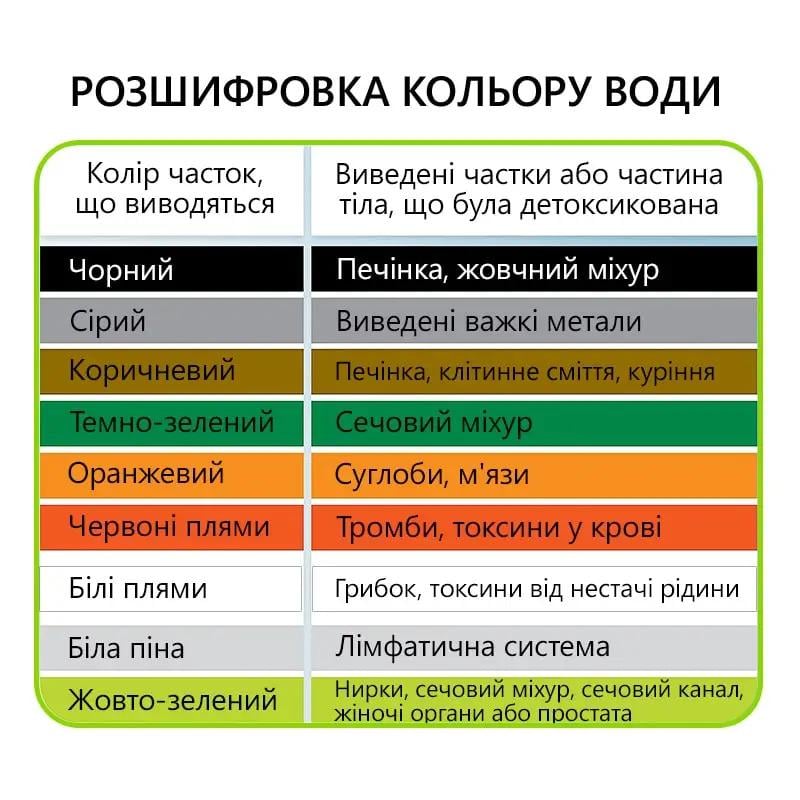 Апарат для очищення організму Doctor-101 Detox (A-01) - фото 9