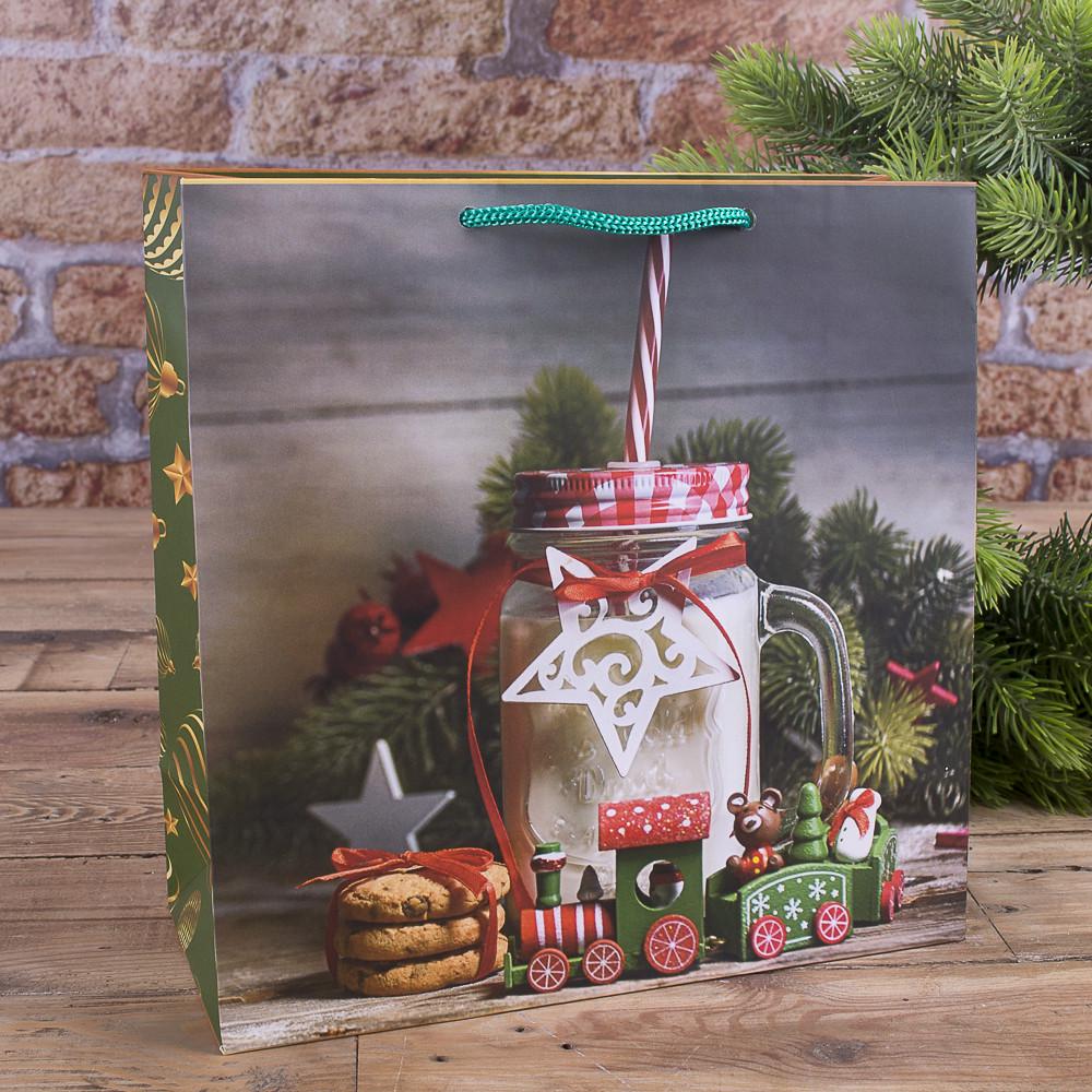 Пакет новогодний Лакомство (4680-W1S-401)