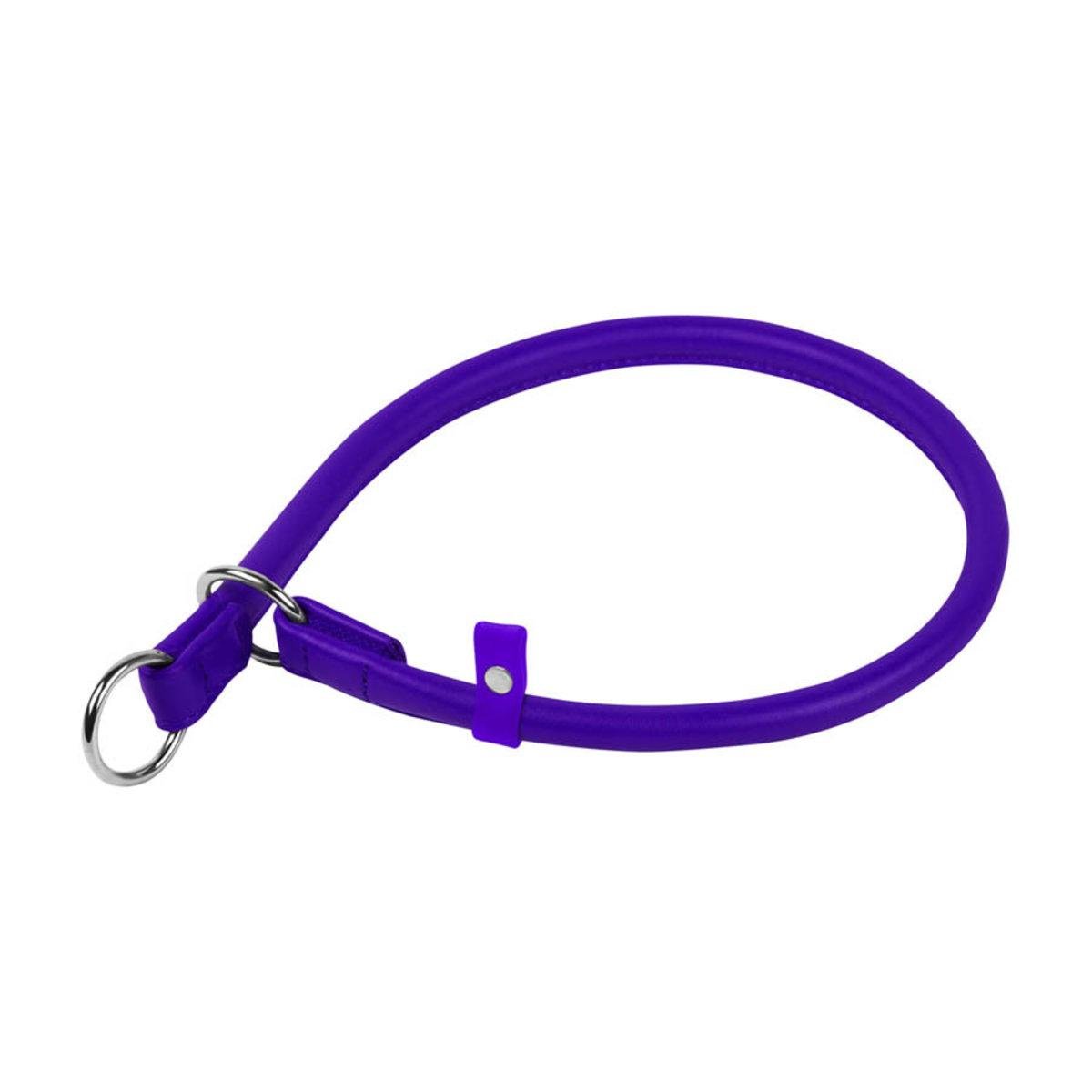 Нашийник-зашморг Waudog Glamour ривковий 10 мм 50 см Фіолетовий