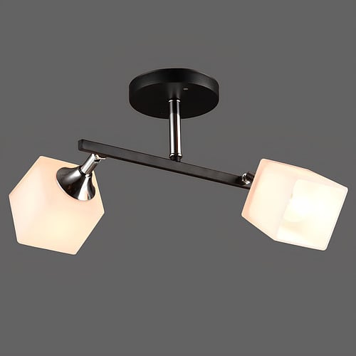 Люстра Svet с двумя поворотными плафонами под лампы Е27 Бело-хромовый (SR-N3502/2 BK+CH)