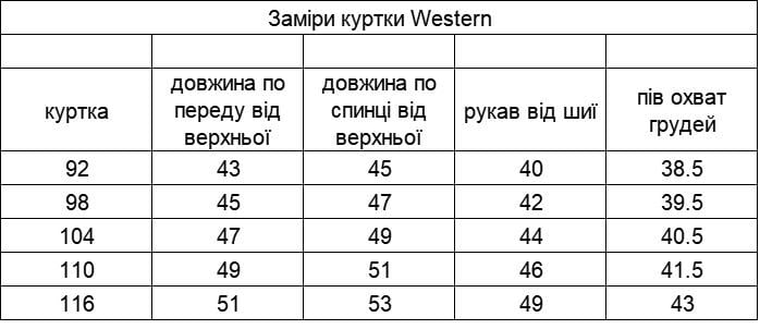 Куртка дитяча зимова 98 см Синій (13982697) - фото 4