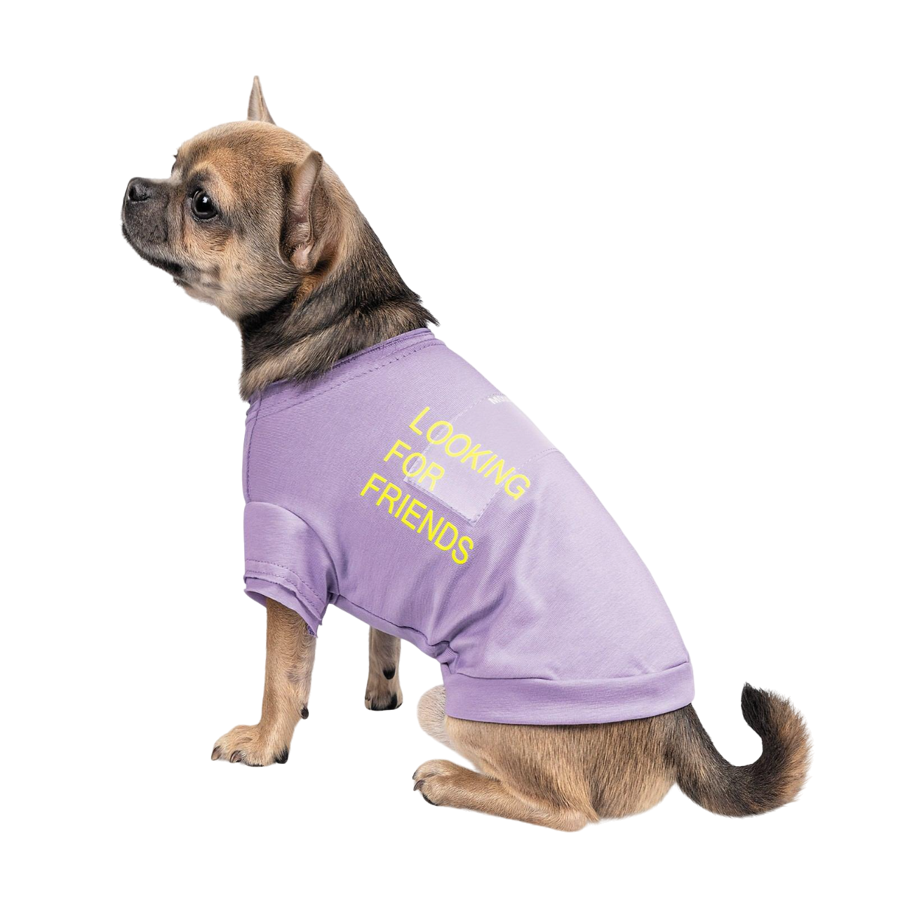 Футболка Pet Fashion Game S Фиолетовый (PR242087)