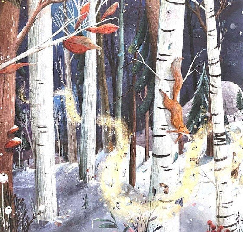 Дитяча книга Абрикос "Нічні Вогники Елли" - фото 6 Дитяча книга Абрикос "Нічні Вогники Елли" - фото 6