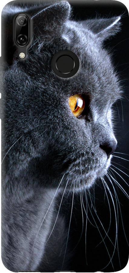 Чехол на Huawei Nova 3 Красивый кот (3038u-1535-42517)