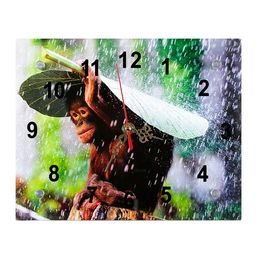 Часы настенные Дождик 21х26х5 см (19830)