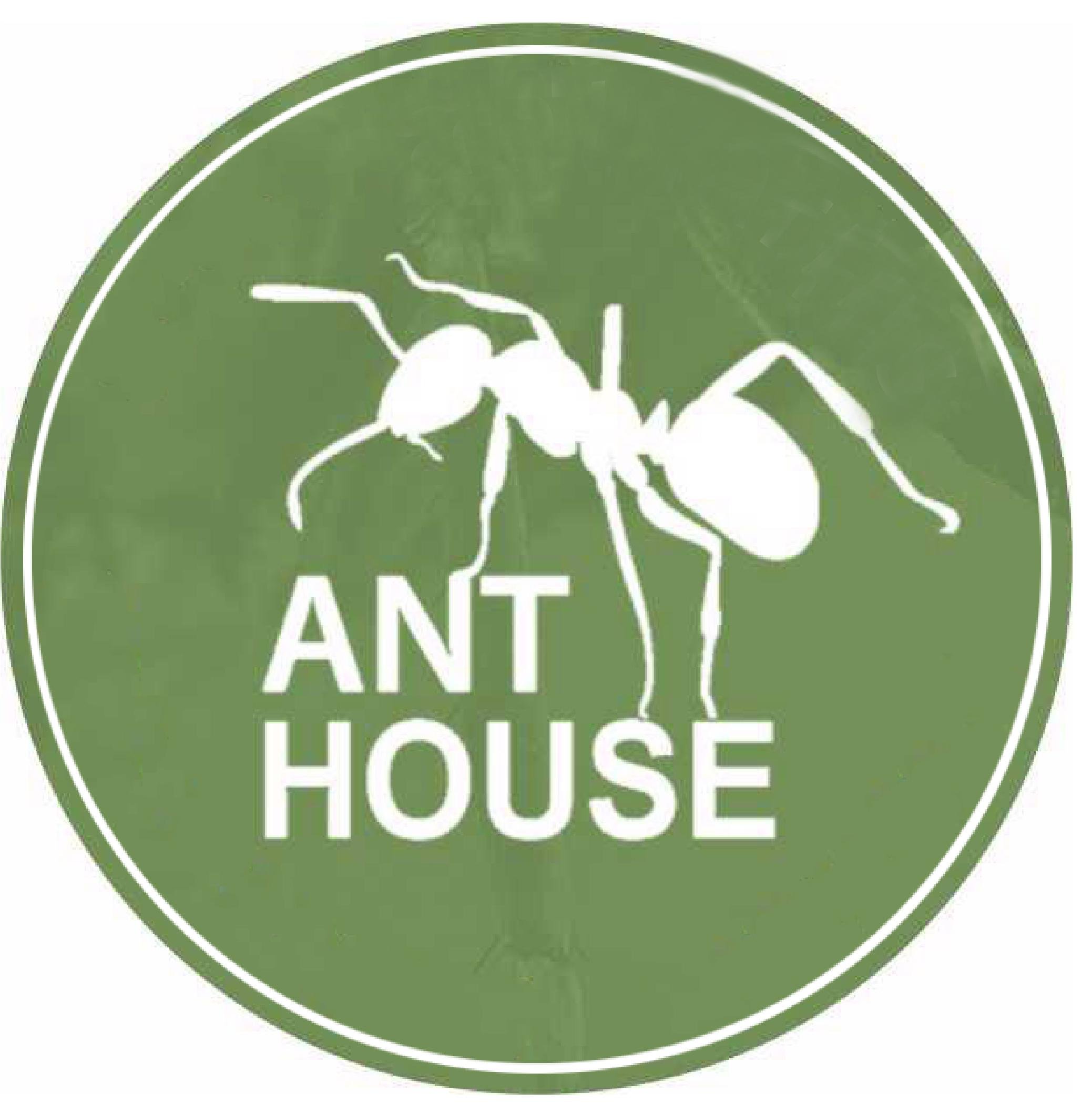 Ant House