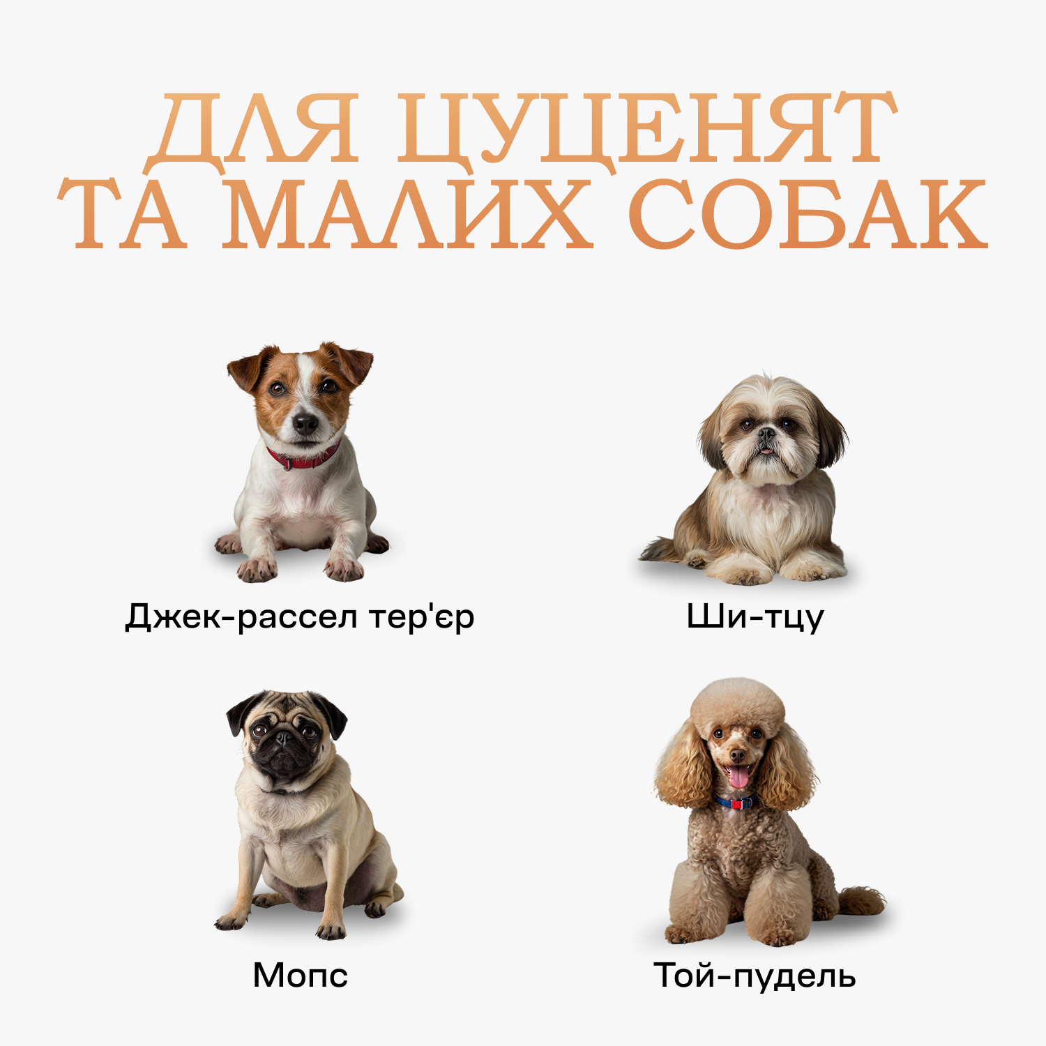 Туалет лоток під пелюшку для собак см Бежевий - фото 3 Туалет лоток під пелюшку для собак см Бежевий - фото 3