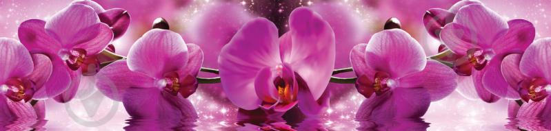 Наклейки кухонный фартук  Zatarga " Пышные розовые Орхидеи"  600х2500 мм Розовый (Z180257)