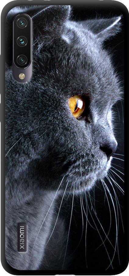 Чехол на Xiaomi Mi A3 Красивый кот (3038b-1737-42517)