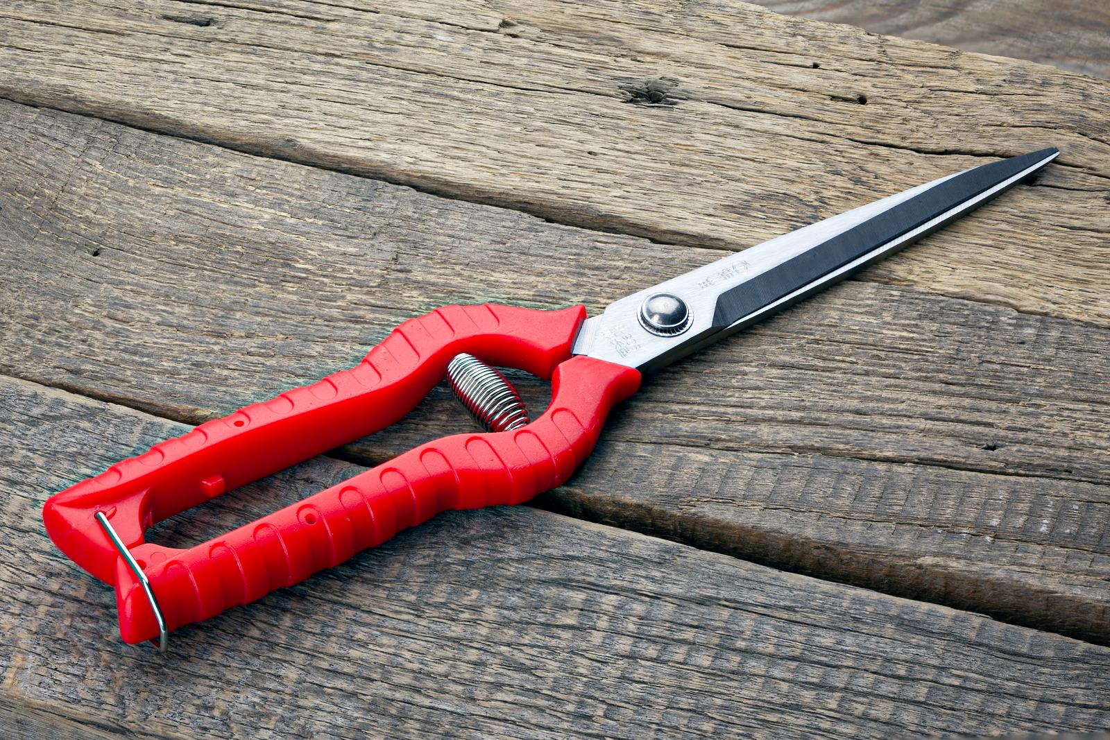 Ножиці садові Sagawata з нержавіючої сталі подовжені 245 мм (P-905_L) - фото 11 Ножиці садові Sagawata з нержавіючої сталі подовжені 245 мм (P-905_L) - фото 11