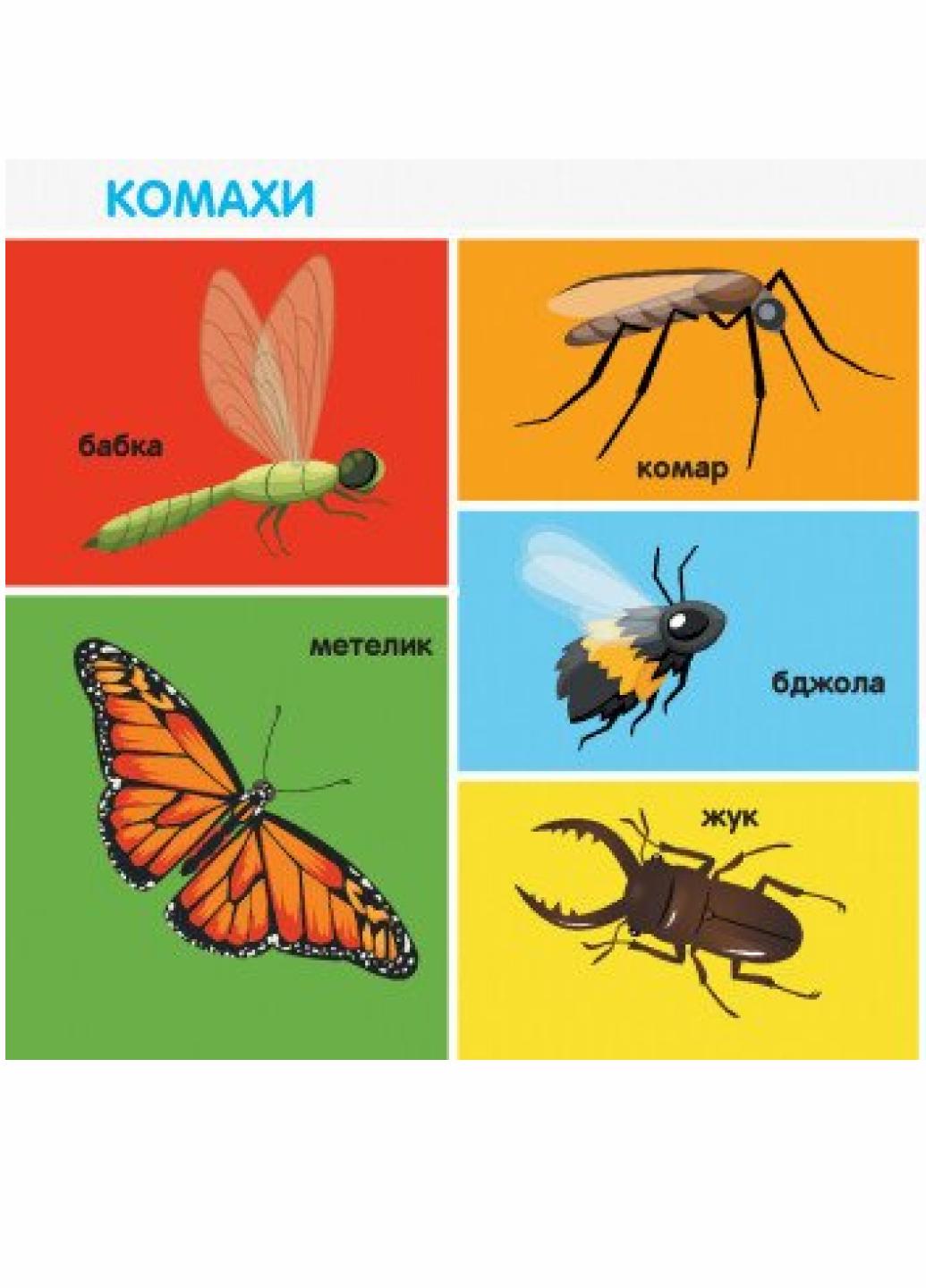 Книжка-картонка" Смарт-Книга "100 перших слів" Трофимова Катерина С944002У (9786170952950) - фото 3