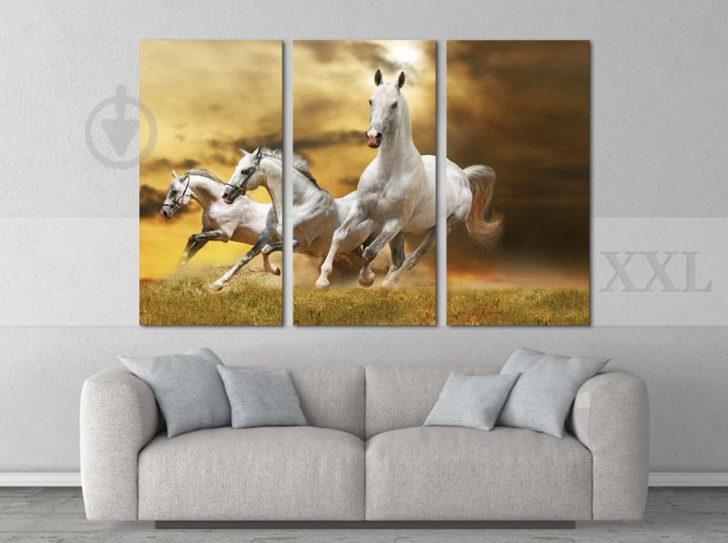 Модульна картина Poster-land Білі Коні Art-79_XXL