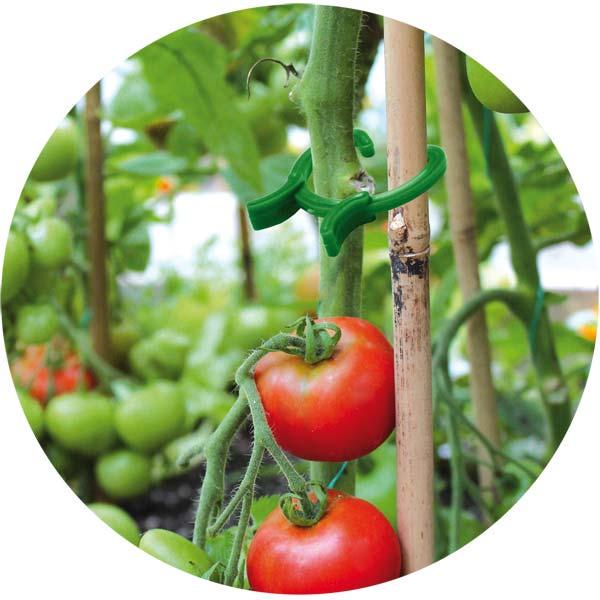 Затискачі для кріплення рослин Bradas 3 розміри 45 шт. - фото 2 Затискачі для кріплення рослин Bradas 3 розміри 45 шт. - фото 2