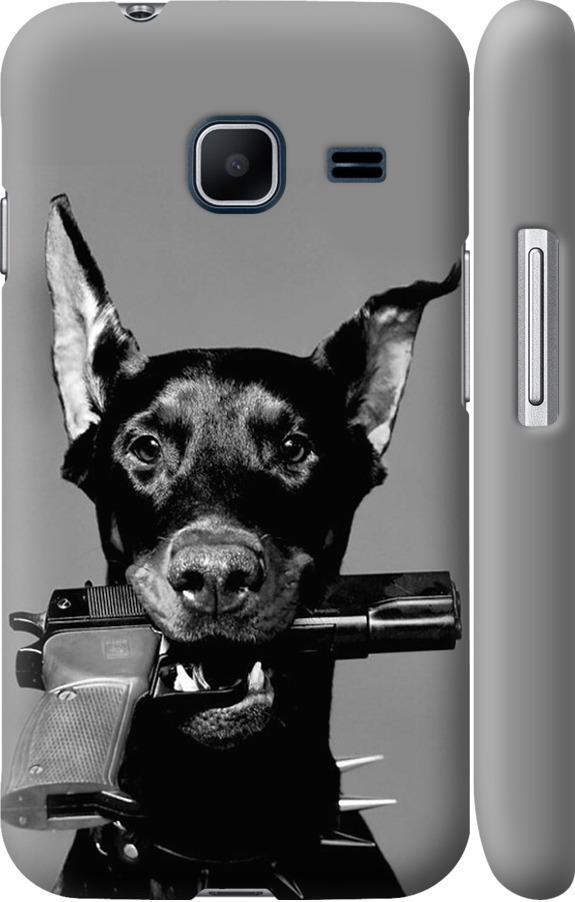 Чехол на Samsung Galaxy J1 Mini J105H Доберман (2745m-258-42517) Чехол на Samsung Galaxy J1 Mini J105H Доберман (2745m-258-42517)