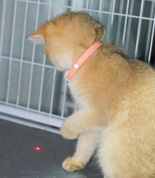 Ошейник для кошек Cat Сollar Т-883 с лазерной указкой Персиковый (25107313) - фото 4 Ошейник для кошек Cat Сollar Т-883 с лазерной указкой Персиковый (25107313) - фото 4