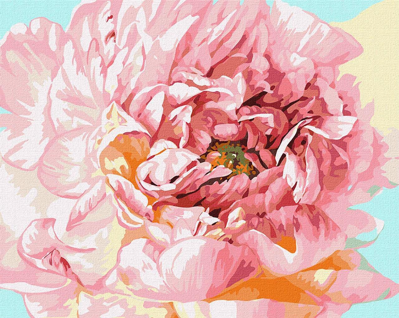 Картина за номерами Ideyka Ніжна півонія Ira Volkova 40х50 см (2824286749)