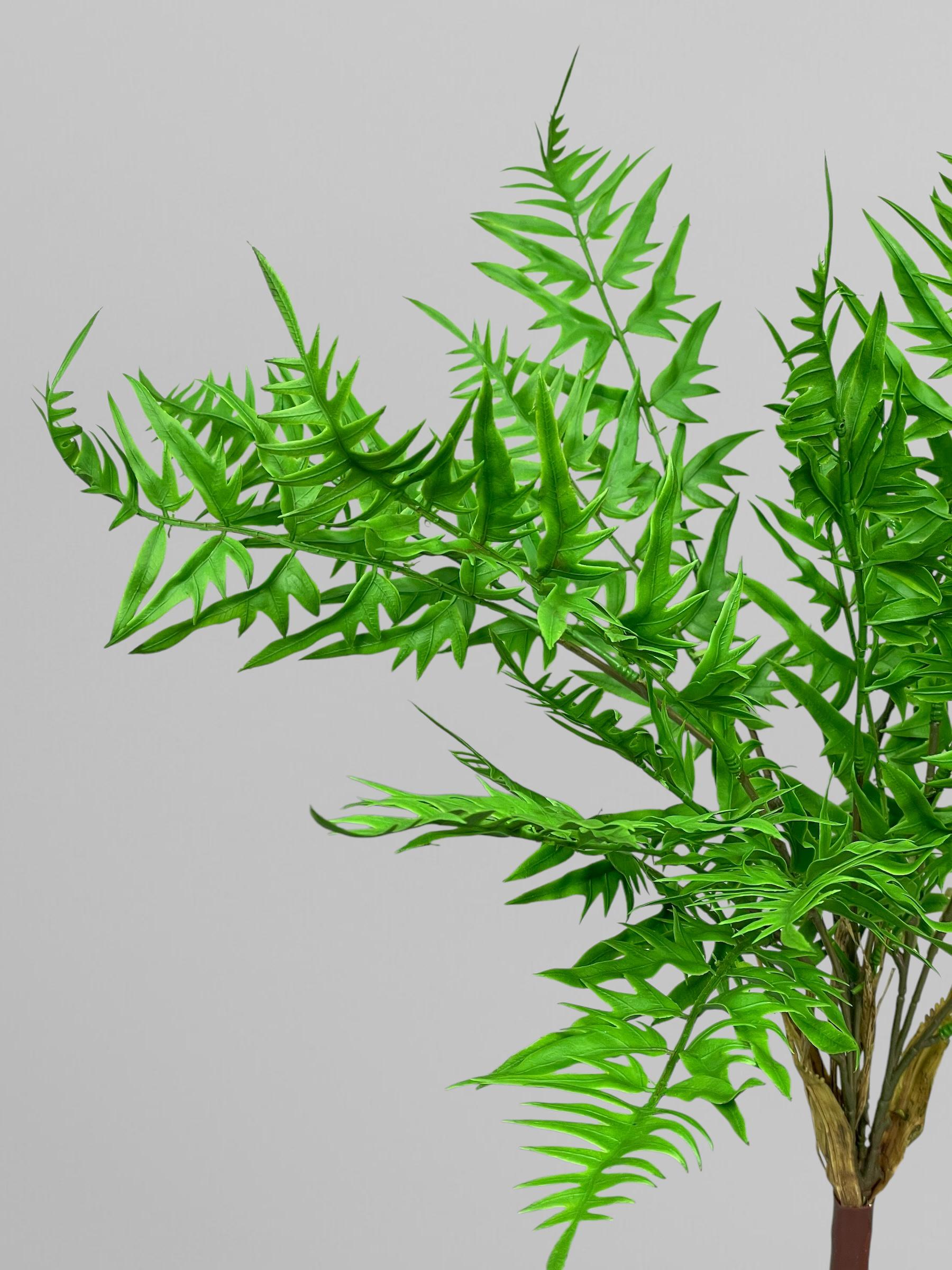 Искусственная оноклея 60 см Зеленый (Р05036) - фото 2 Искусственная оноклея 60 см Зеленый (Р05036) - фото 2