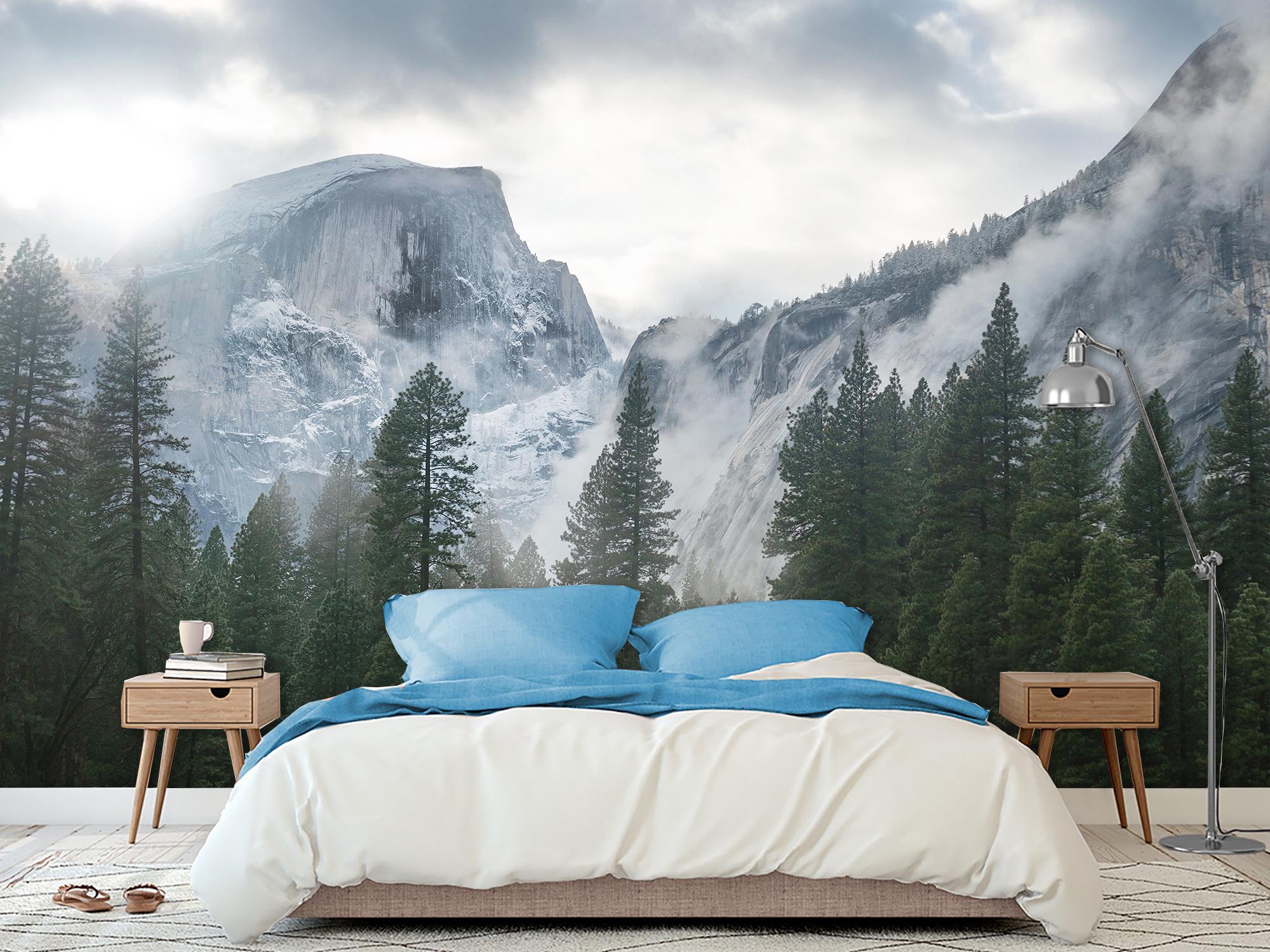 Фотообои флизелиновые Карпатский зимний горный пейзаж 153х230 см (S5NTR-064/3)