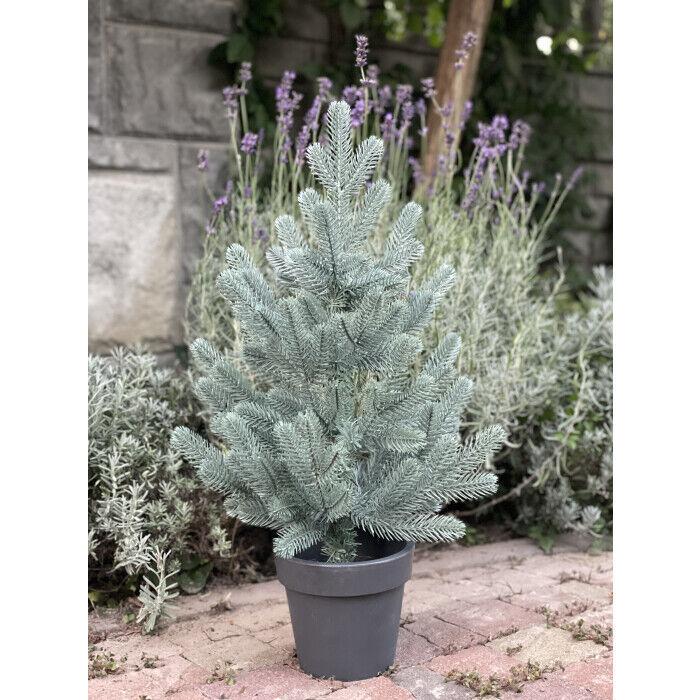 Ялинка лита Traditional в горщику 50 см Блакитний (215N/50/B)