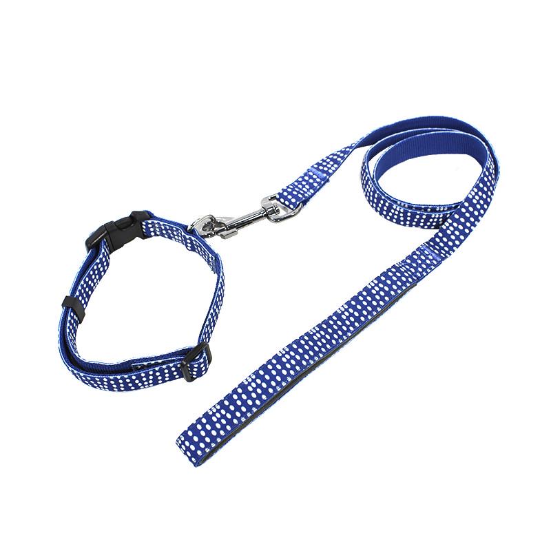 Ошейник для собак TUFF HOUND TC00305 Blue and Point (2.0x38-51) с поводком принтом