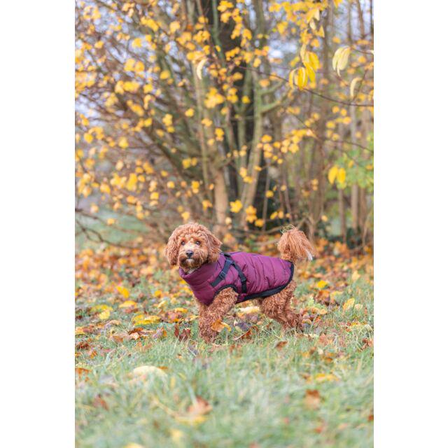 Попона для собак зимова Trixie Pirou зі шлейкою XS 27 см Сангрія (TX-680391) - фото 4 Попона для собак зимова Trixie Pirou зі шлейкою XS 27 см Сангрія (TX-680391) - фото 4