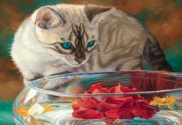 Картина по номерам Josef Otten Животные Сиамская кошка 40х50 см в термопакете (6375OTG_O-mt)