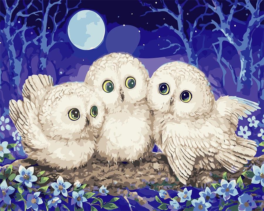 Картина за номерами Совята (AS0725)