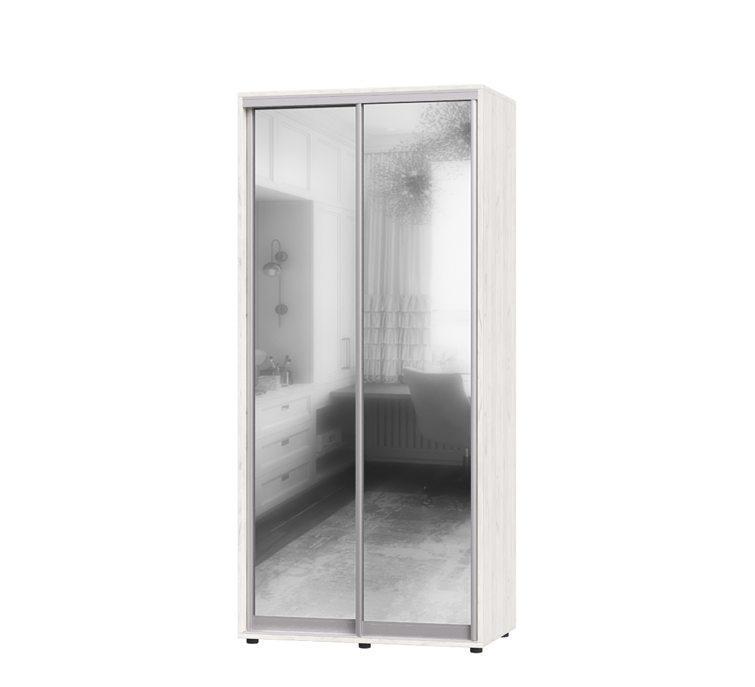 Шкаф-купе двухдверный Эверест ШК-01 100х60х220 см Дуб Крафт Белый (06818)