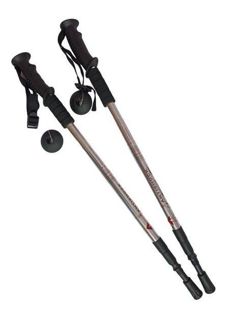 Палки для треккинга Antishock Silver (004)