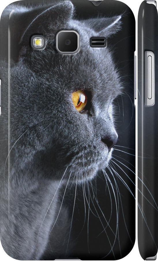 Чехол на Samsung Galaxy Core Prime G360H Красивый кот (3038c-76-42517)