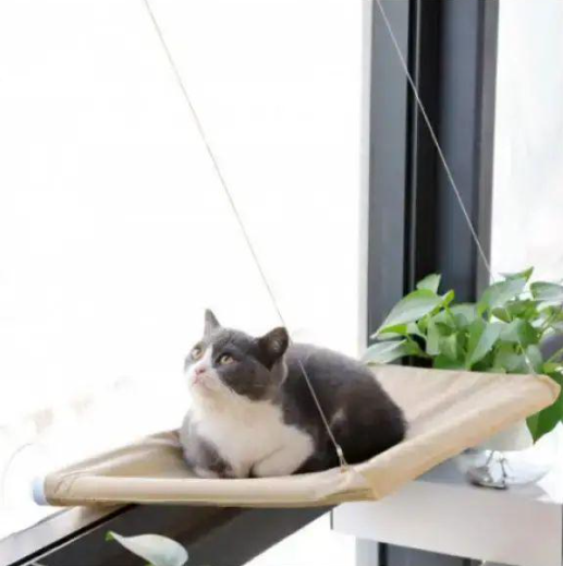 Лежанка для кошек оконная Sunny Seat Window Cat Bed с надежным креплением на присосках 54x32 см до 22 кг Бежевый (opt-14224) Лежанка для кошек оконная Sunny Seat Window Cat Bed с надежным креплением на присосках 54x32 см до 22 кг Бежевый (opt-14224)