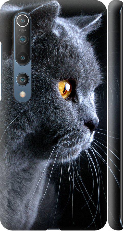 Чехол на Xiaomi Mi 10 Красивый кот (3038m-1860-42517)