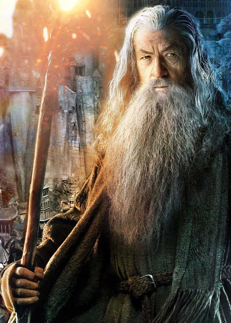 Картина постер Gee! The Lord of the Rings Володар кілець гендальф 40х60 см LR 09.157