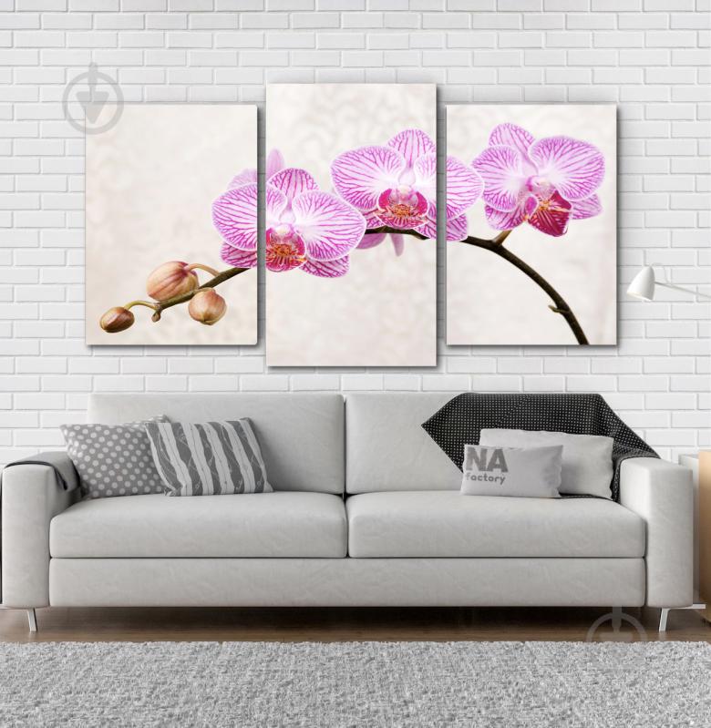Модульна картина Poster-land Квіти Орхідея Art-138_3