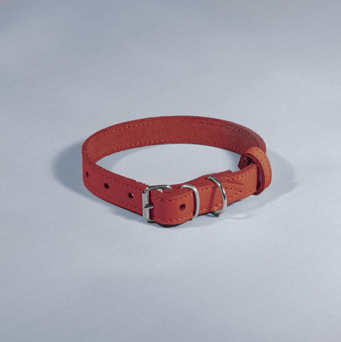Нашийник для тварин шкіряний ВЕСНА 18 мм х 28-36 см Червоний (2354925658)