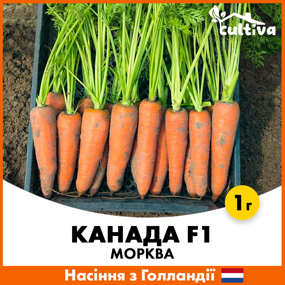 Семена моркови Bejo Канада F1 1 г (M2-1)