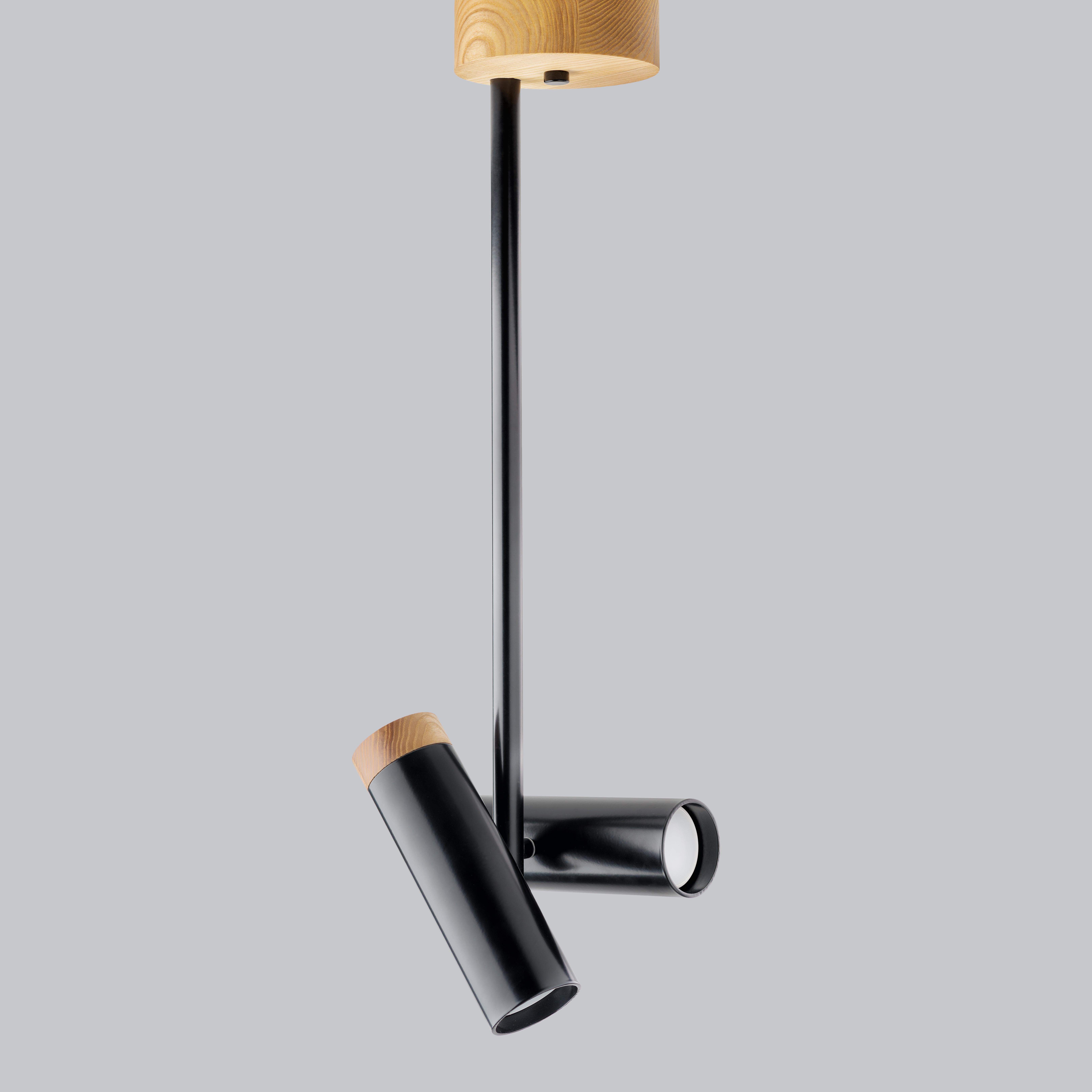 Потолочный светильник в стиле лофт Gaff Design HD2 Черный (HD12) Потолочный светильник в стиле лофт Gaff Design HD2 Черный (HD12)