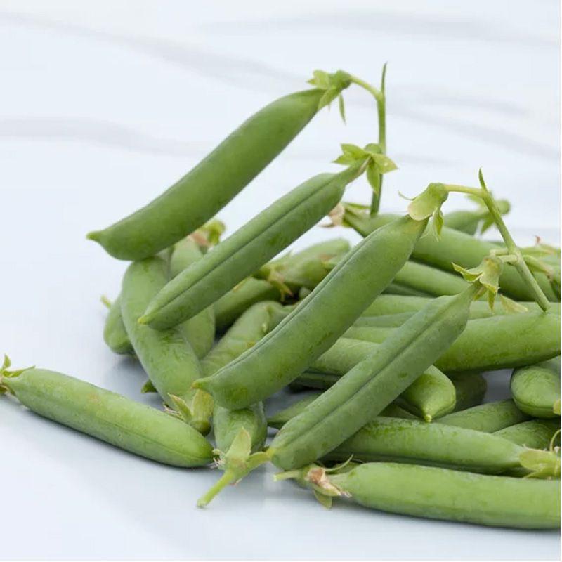 Семена Горох Syngenta ZONVERT 200000 шт. (2289709163.5)