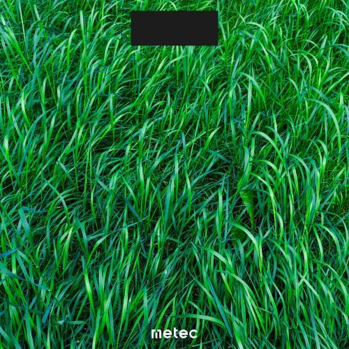 Весы электронные Grass Metec DBS-01G напольные (84169)