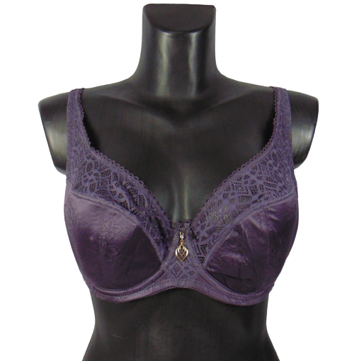 Бюстгальтер Lannymode 11574 100D Фиолетовый (1745700731) Бюстгальтер Lannymode 11574 100D Фиолетовый (1745700731)