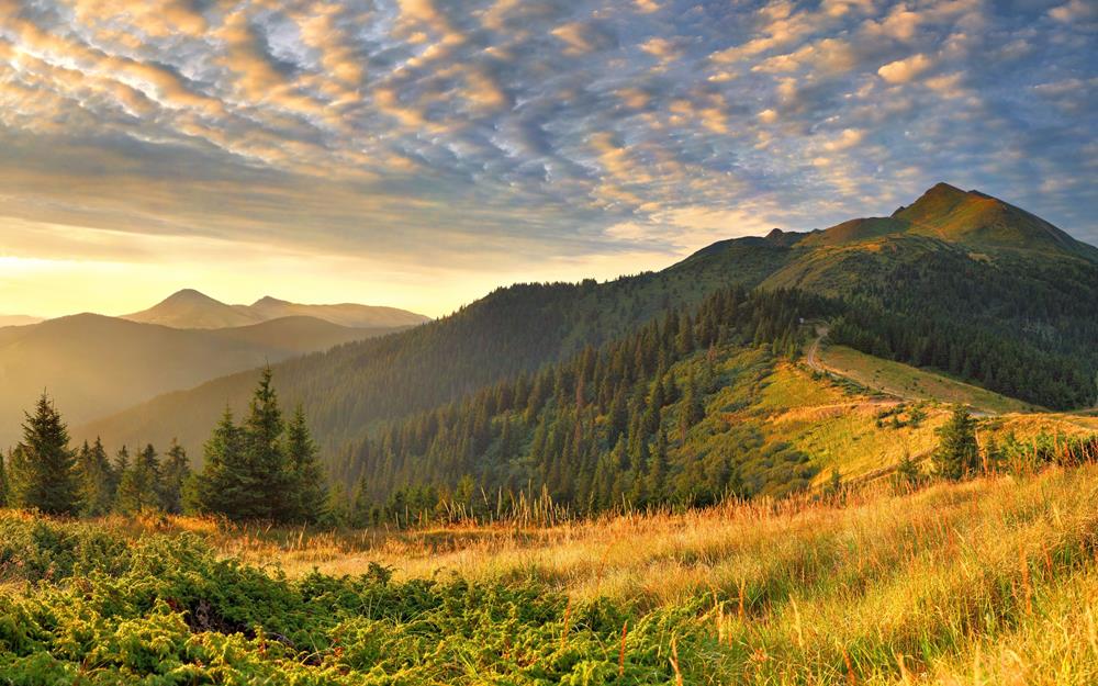 Картина Природа PR075 35х55 см