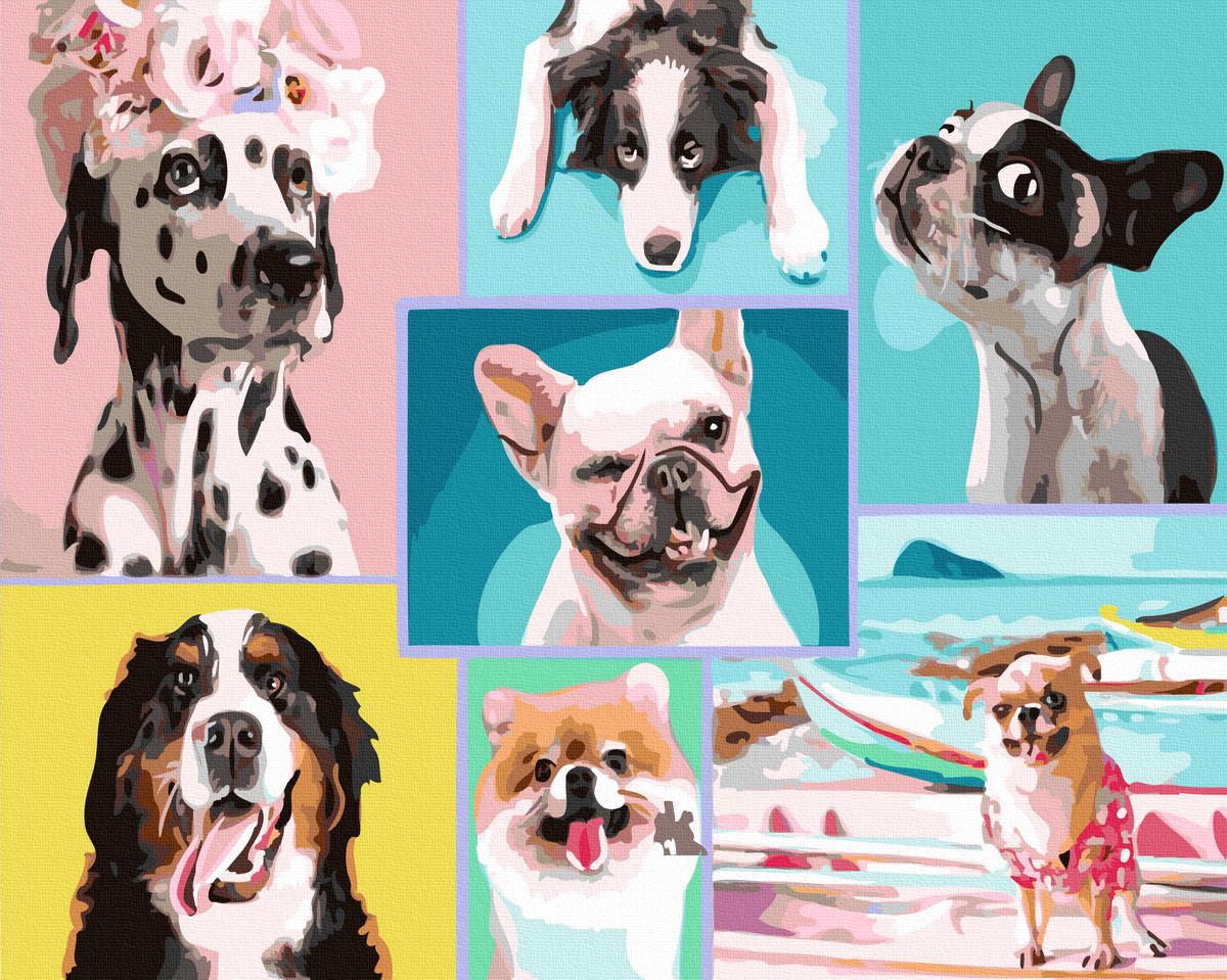 Картина по номерам Забавные собачки 40х50 (GX43119) Картина по номерам Забавные собачки 40х50 (GX43119)