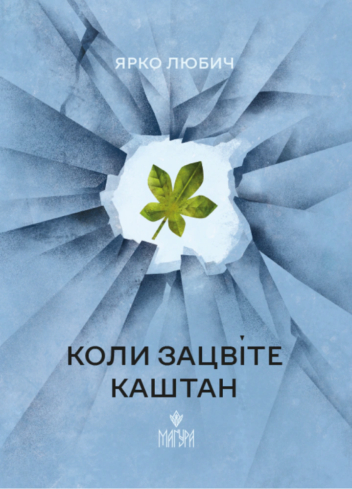 Книга Ярко Любич «Коли зацвіте каштан» 9786178177676