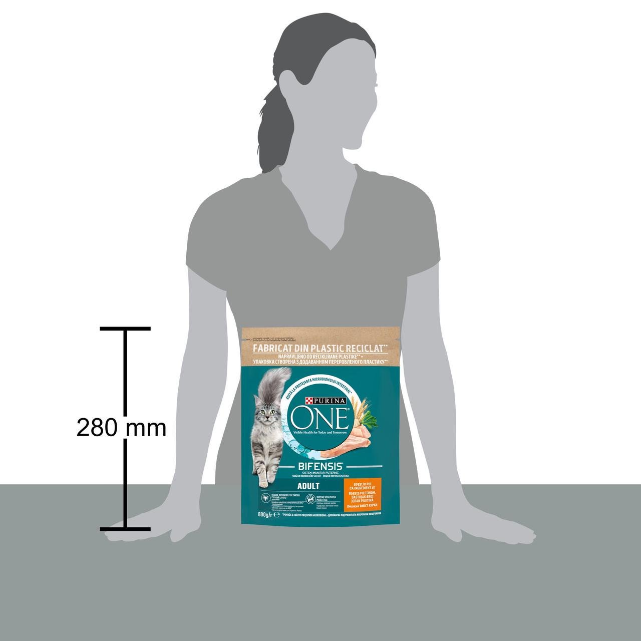 Сухий корм для дорослих котів Purina One комплекс Bifensis з куркою 800 г (7613035467866) - фото 3 Сухий корм для дорослих котів Purina One комплекс Bifensis з куркою 800 г (7613035467866) - фото 3