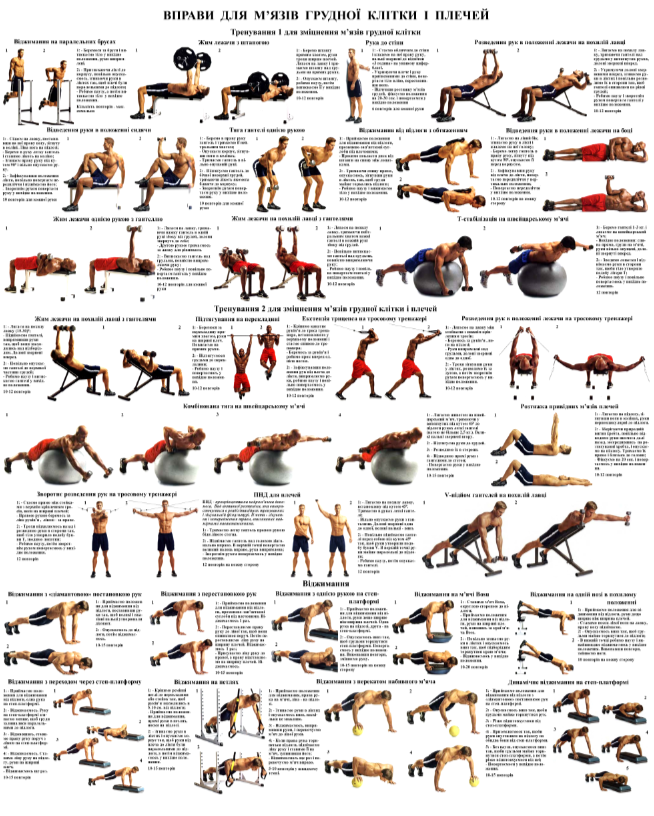 Плакат вправи для грудної клітки та плечей 67х86 см