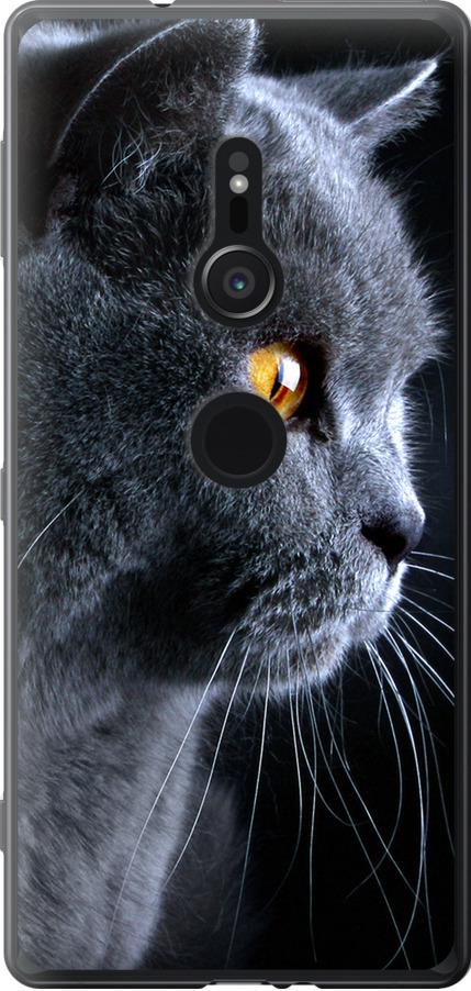 Чехол на Sony Xperia XZ2 H8266 Красивый кот (3038u-1378-42517)